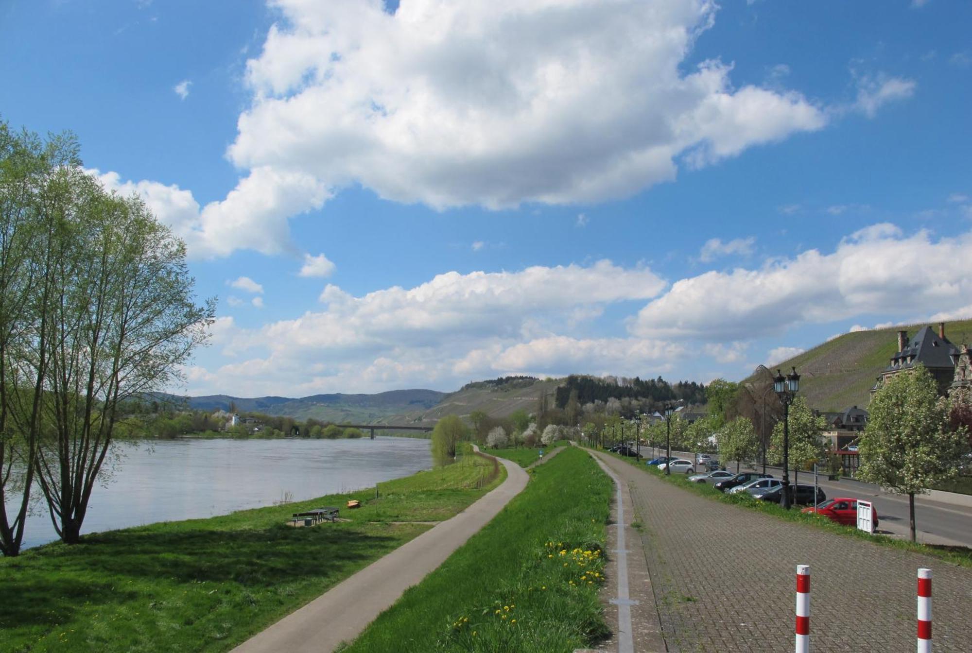 Mosel - River - Quartier 31 Hotel Lieser Exterior photo